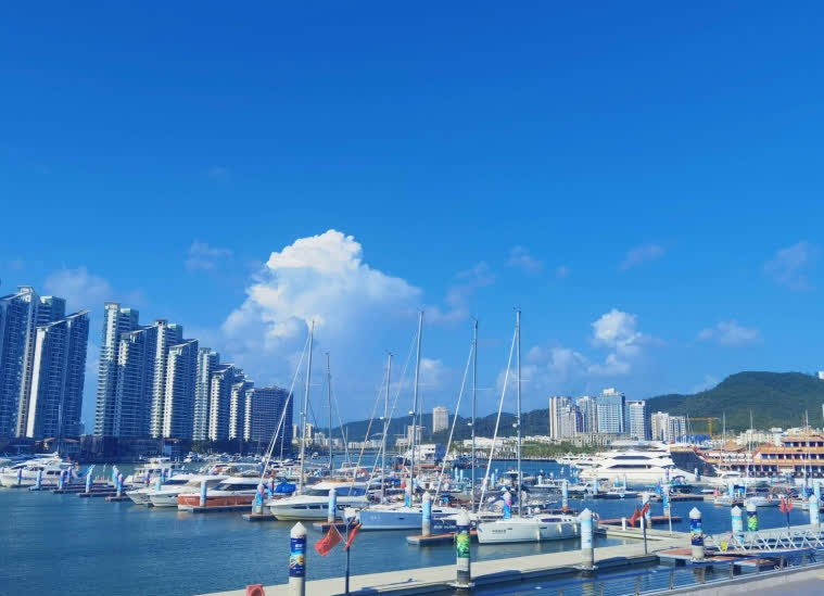 1781600647999047081.png 图片4.png